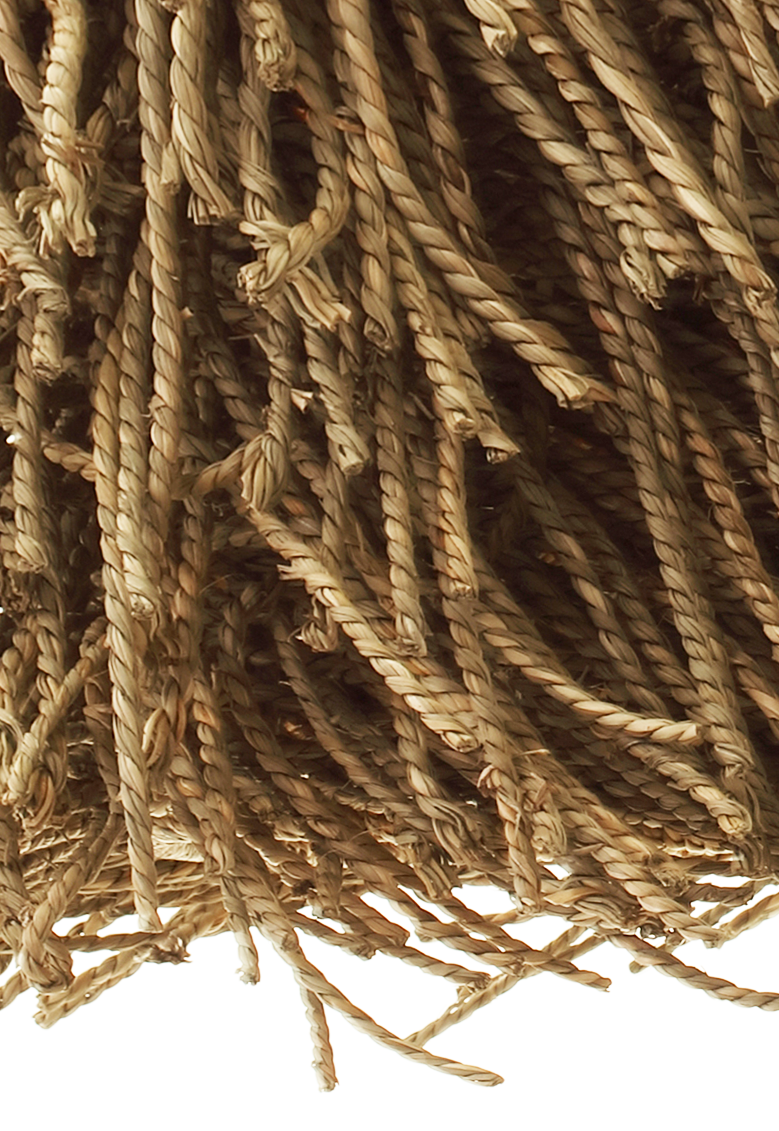 Seagrass